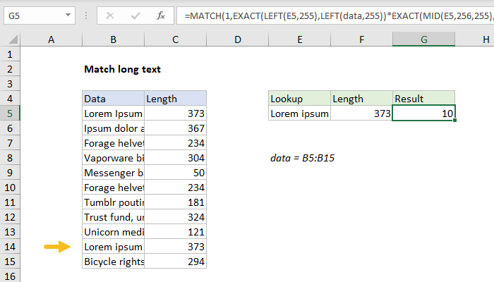 Excel Match long text